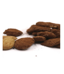 Mandorle al cioccolato-Mandorle-cioccolato-16