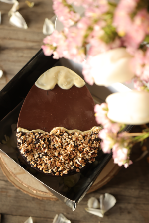 Uovo in sagoma piatto-base uovo-111